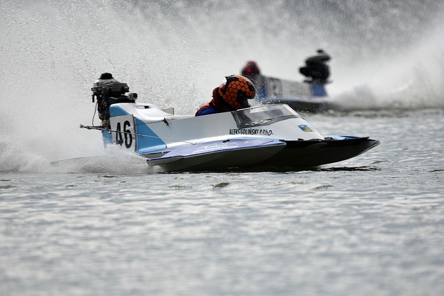 布里的发言 布里的发言