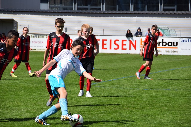 球迷基础 球迷基础