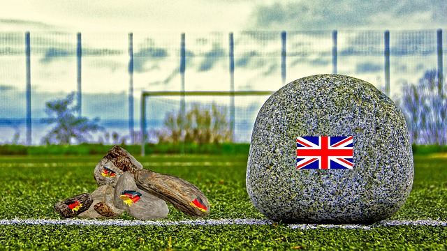 疑为我们提 疑为我们提