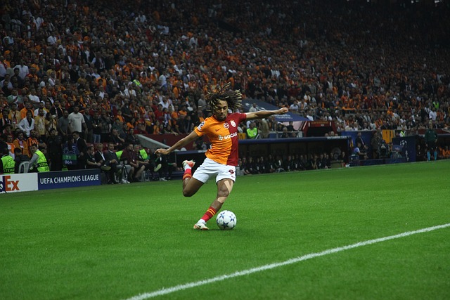 如何填補這 如何填補這