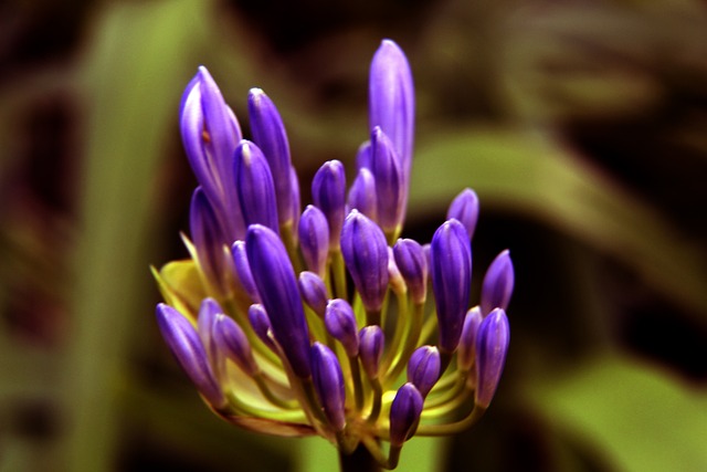 大师赛决赛诞生147分！丁俊晖职业生涯第7杆满分经典回顾.