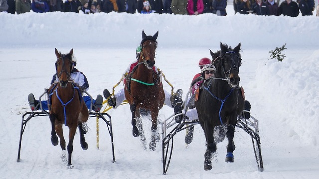 士多享用地 士多享用地