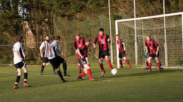 注定成为一 注定成为一